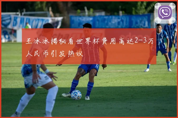 王冰冰揭秘看世界杯费用高达2-3万人民币引发热议